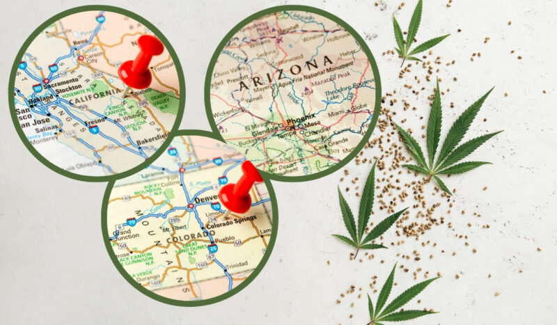 medical cannabis in California, Colorado, and Arizona