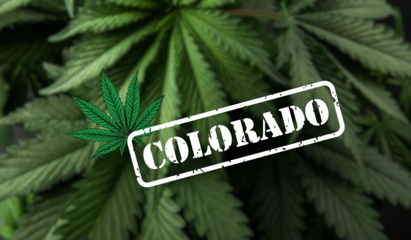 medical cannabis in Colorado