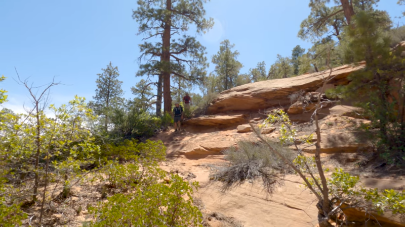 A Quick Guide to Canyoneering Water Canyon near Zion National Park, Utah