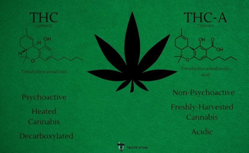 THC vs THC-A