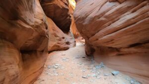 A Complete Guide to Zion National Park’s Caves