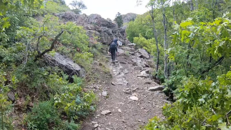 Waterfall Canyon Trail in Ogden