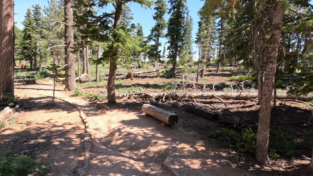 Bristlecone Loop Trail