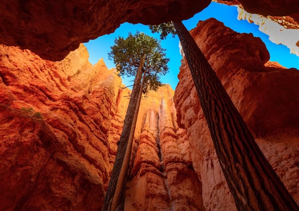 A beautiful photo from the Navajo Loop Trail