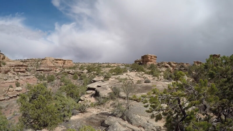 panoramic image of the Needles area in Canyonlands National Park, highlighting rocky outcrops and sparse vegetation under a partly cloudy sky. The landscape features rugged terrain and distant hills, typical of the Utah desert environment