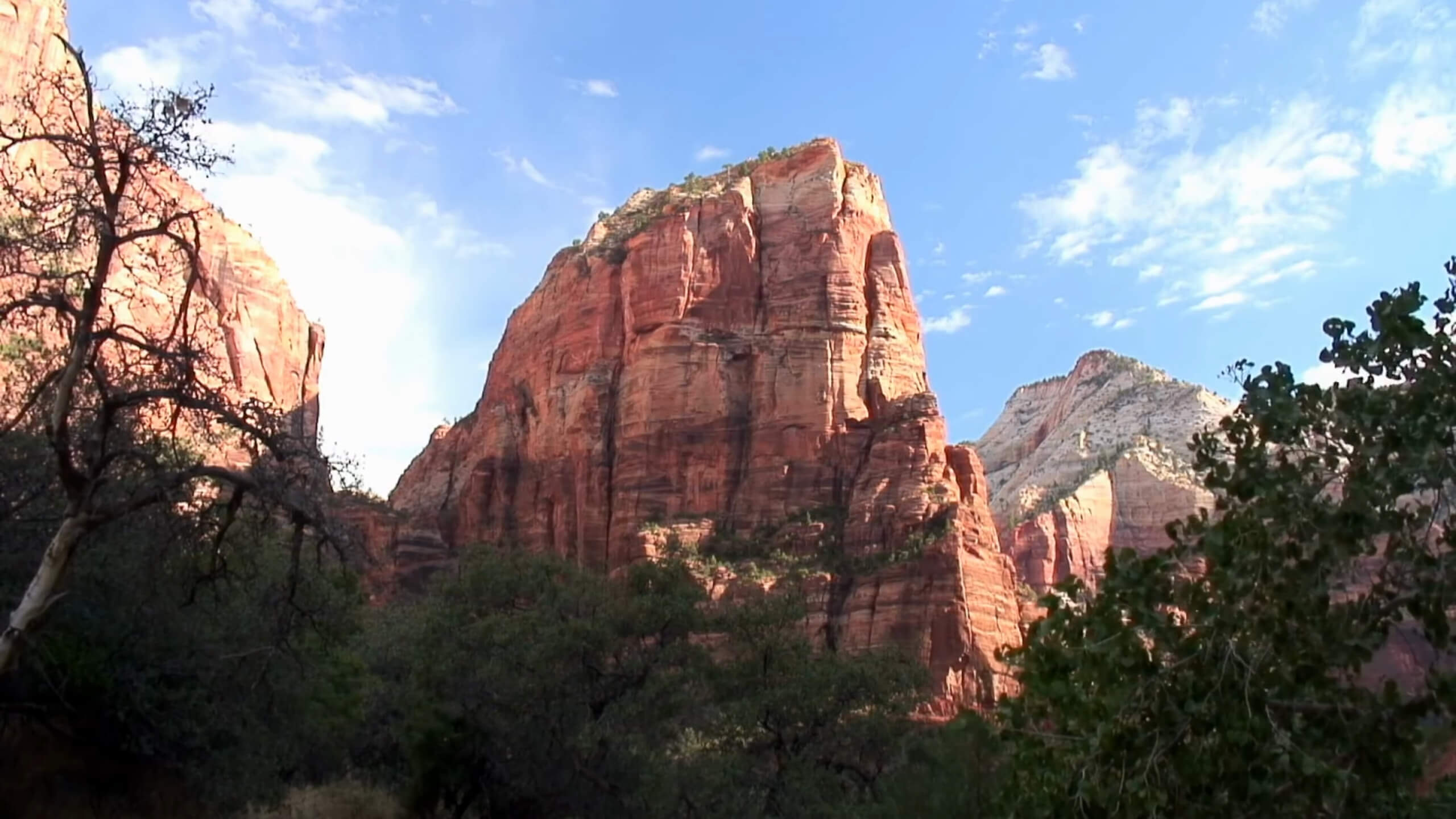 Zion National Park